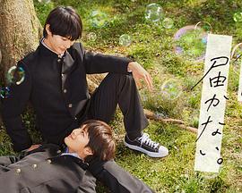 seo实战培训哪家好